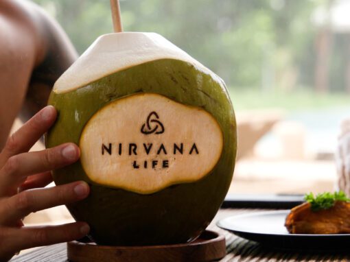 CANON UK | NIRVANA LIFE | BALI CANON UK | NIRVANA LIFE | BALI