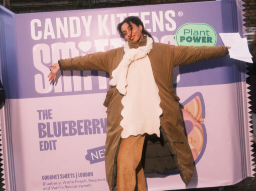 CANDY KITTENS | JAMIE LANG